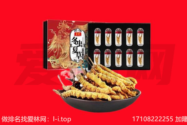 中山回收虫草.jpg
